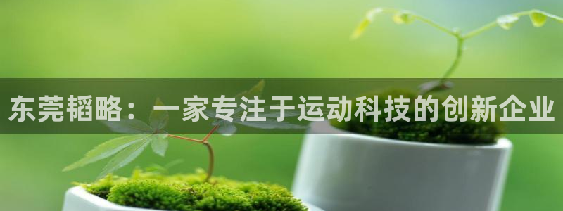 米兰体育官网下载平台注册：东莞韬略：一家专注于运动科