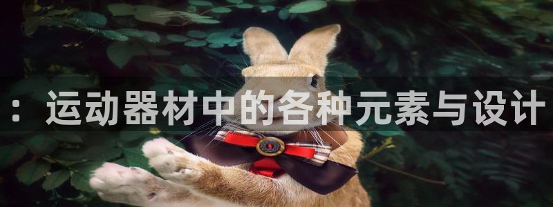 米兰体育官方正版app娱乐首页官网下载：：运动器材中的各种元