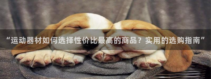 米兰体育官方正版app集团logo：“运动器材如何选择性价比