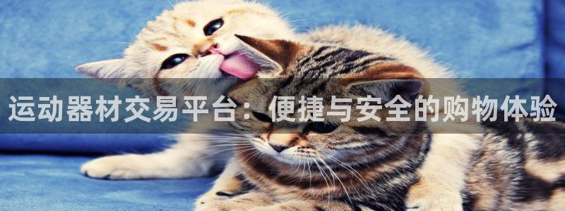米兰体育官方正版app科技：运动器材交易平台：便捷与安全的购