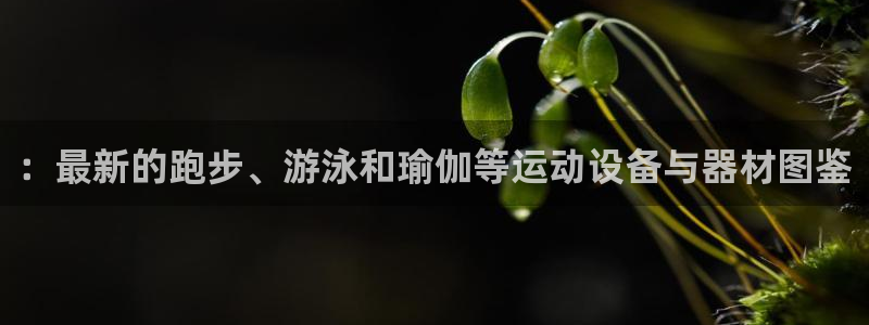 米兰体育官网下载软件：：最新的跑步、游泳和瑜伽等运动设备与器