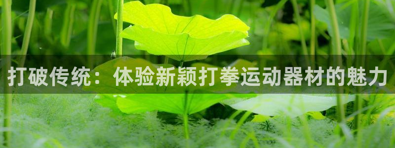 米兰体育官网下载平台注册：打破传统：体验新颖打拳运动