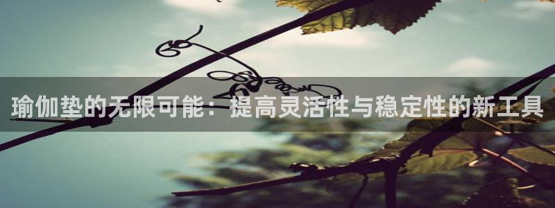 米兰体育官方正版app娱乐代理怎么样：瑜伽垫的无限可能：提高