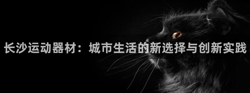 米兰体育官方正版app娱乐网站：长沙运动器材：城市生
