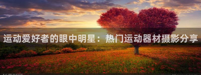 米兰体育官方正版app集团官网网址