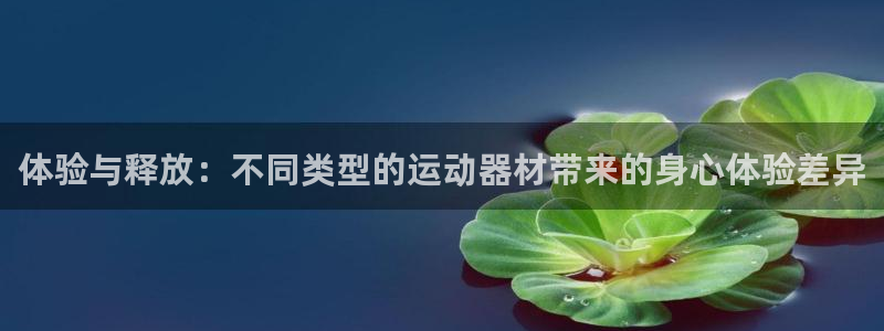 米兰体育官方正版app娱乐40996：体验与释放：不