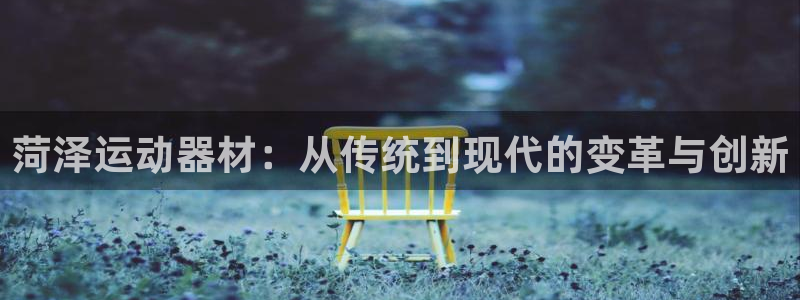 米兰体育官网下载:菏泽运动器材:从传统到现代的变革与创新