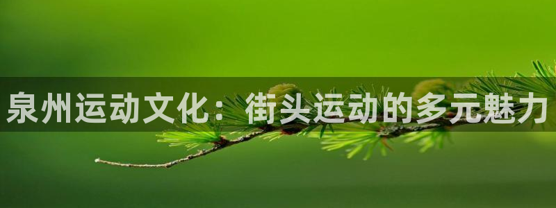米兰体育官网下载招商：泉州运动文化：街头运动的多元魅