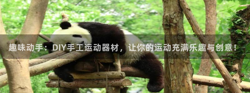 米兰体育官网下载招商电话号码：趣味动手：DIY手工运动器材，