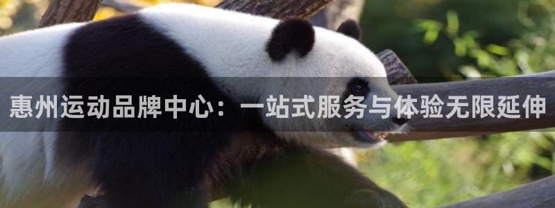 米兰体育官网下载注册